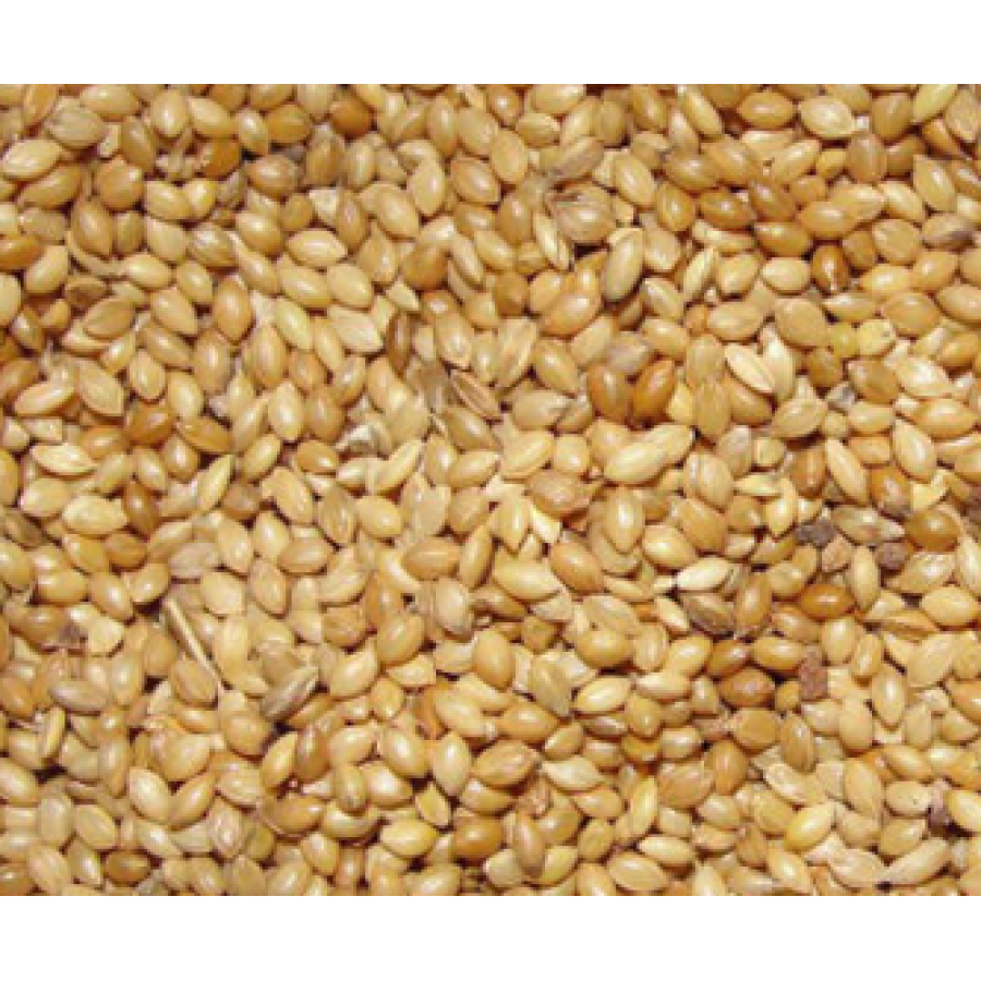 Foxtail Millets 1 Kg